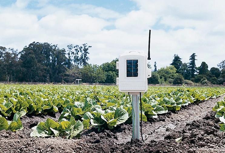 Davis Wireless Leaf & Soil Moisture / Temperature Station South Africa Buy Weather Stations South Africa Weather Shop