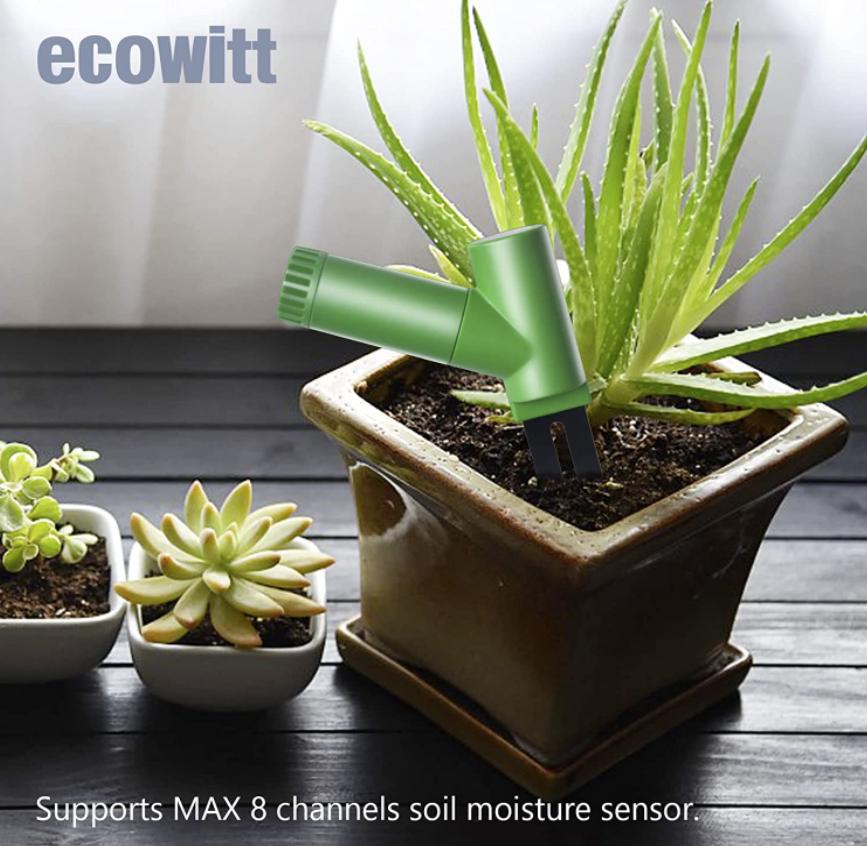 Ecowitt WH51 Soil Moisture & Humidity Sensor Buy Weather Stations South Africa Weather Shop